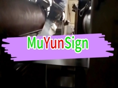 Aluminum Composite Panel Interior External Cladding Wall Plastic Panel ACP Sheet